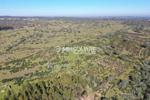 Terreno Misto  Venda em Ourique,Ourique