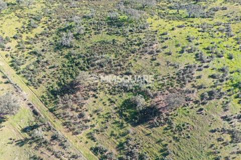 Terreno Misto  Venda em Ourique,Ourique