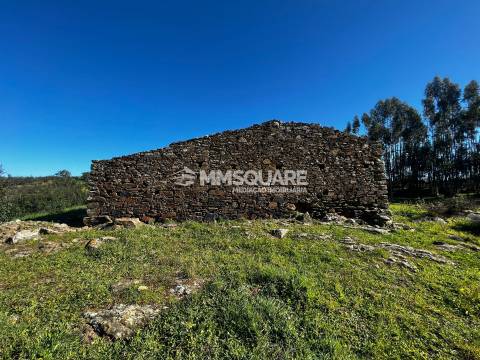 Terreno Misto  Venda em Ourique,Ourique