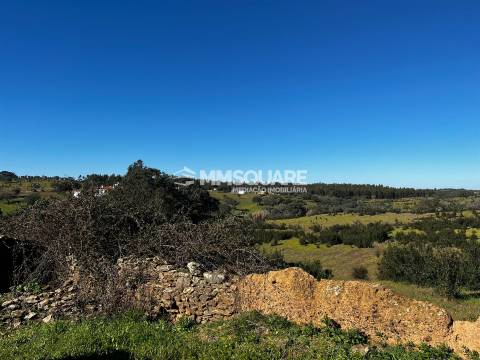 Terreno Misto  Venda em Ourique,Ourique