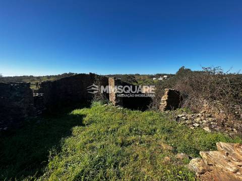 Terreno Misto  Venda em Ourique,Ourique