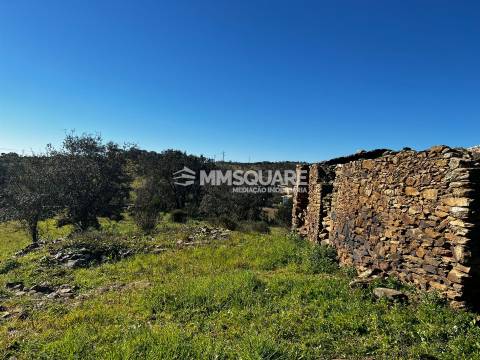 Terreno Misto  Venda em Ourique,Ourique
