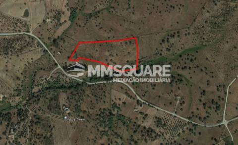 Terreno Misto  Venda em Ourique,Ourique