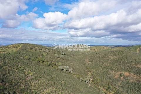 Herdade  Venda em Santana da Serra,Ourique