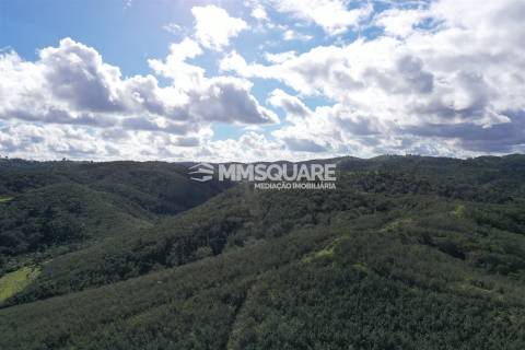 Herdade  Venda em Santana da Serra,Ourique