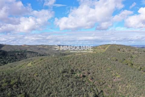 Herdade  Venda em Santana da Serra,Ourique