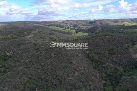 Herdade  Venda em Santana da Serra,Ourique