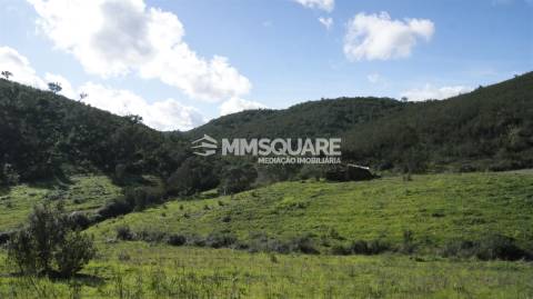 Herdade  Venda em Santana da Serra,Ourique