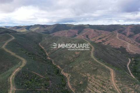 Terreno Rústico  Venda em Santana da Serra,Ourique
