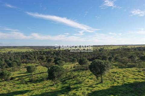 Herdade em Ourique