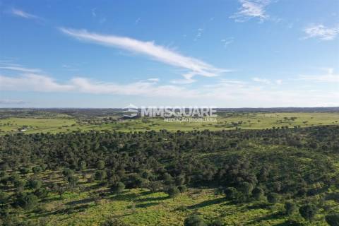 Herdade em Ourique