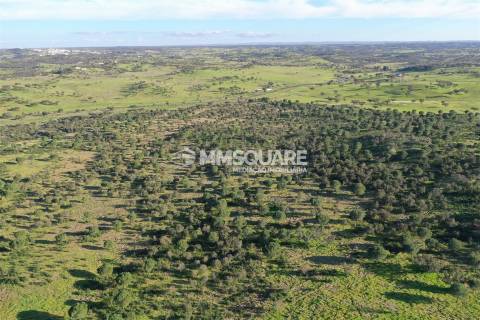 Herdade em Ourique