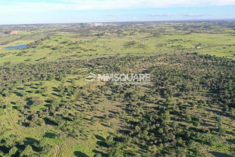 Herdade em Ourique