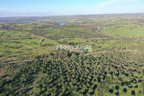 Herdade em Ourique