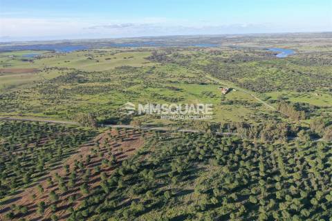 Herdade em Ourique