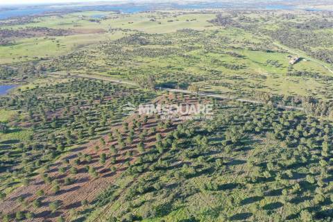 Herdade em Ourique