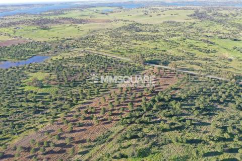 Herdade em Ourique