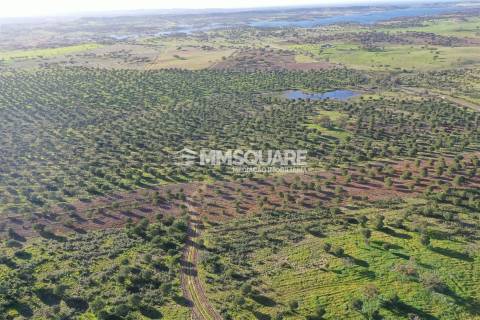 Herdade em Ourique
