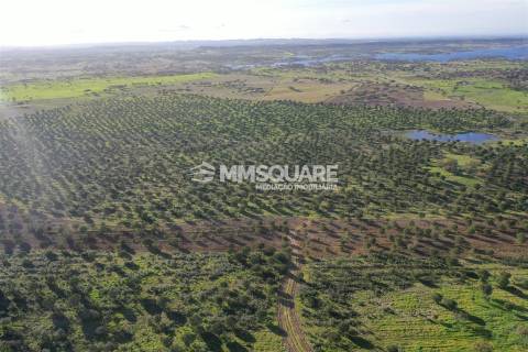 Herdade em Ourique