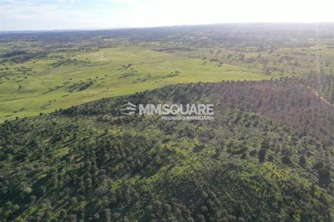 Herdade em Ourique