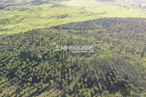 Herdade em Ourique