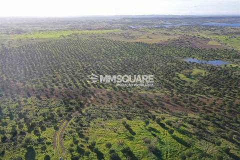 Herdade em Ourique