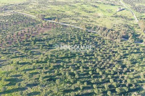 Herdade em Ourique