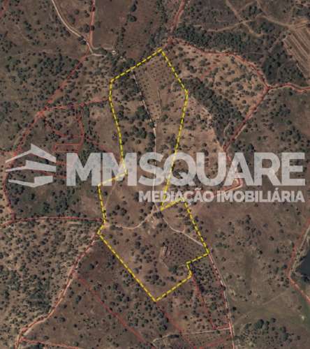 Monte do Chaparral — Ourique