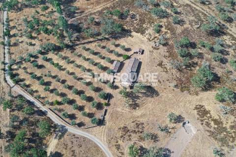 Monte do Chaparral — Ourique
