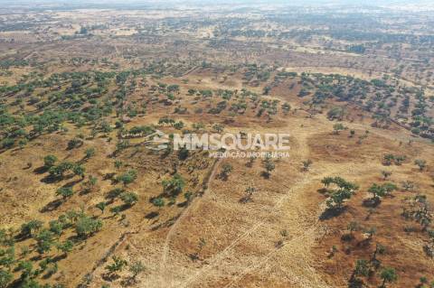Monte do Chaparral — Ourique