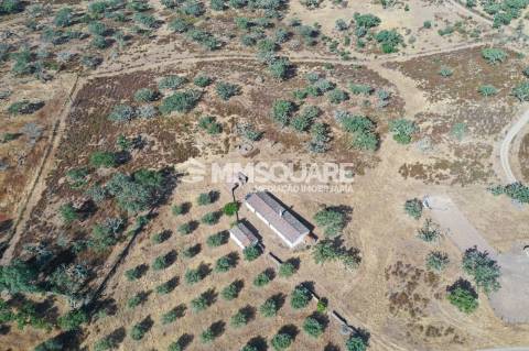 Monte do Chaparral — Ourique