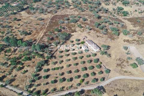 Monte do Chaparral — Ourique