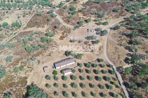 Monte do Chaparral — Ourique