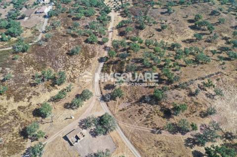 Monte do Chaparral — Ourique