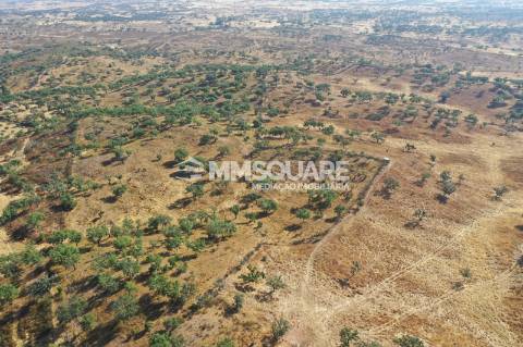 Monte do Chaparral — Ourique