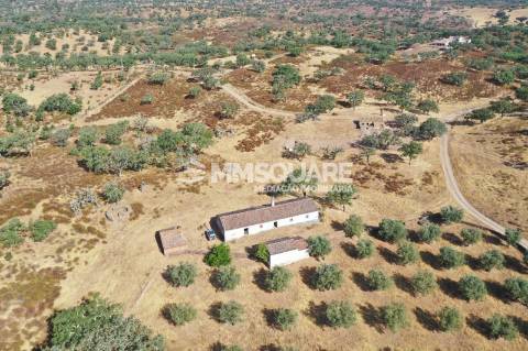 Monte do Chaparral — Ourique
