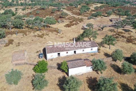 Monte do Chaparral — Ourique