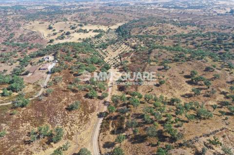 Monte do Chaparral — Ourique