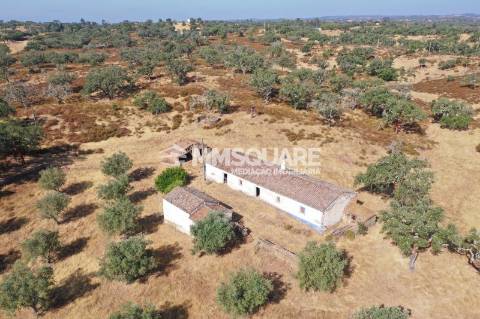Monte do Chaparral — Ourique