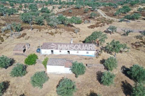 Monte do Chaparral — Ourique