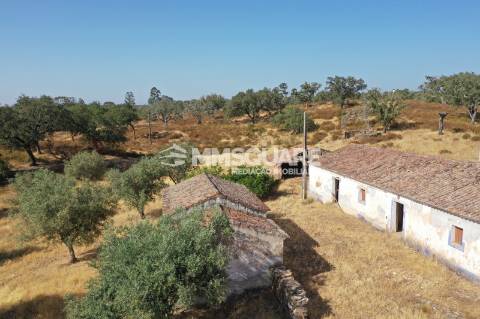 Monte do Chaparral — Ourique