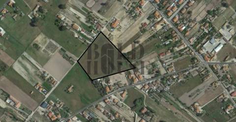 Terreno Para Construção  Venda em Salvaterra de Magos e Foros de Salvaterra,Salvaterra de Magos