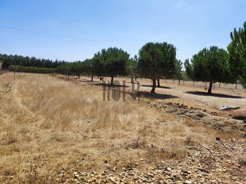 Terreno Para Construção  Venda em Pontével,Cartaxo