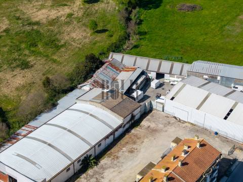 Armazém  Venda em Cartaxo e Vale da Pinta,Cartaxo