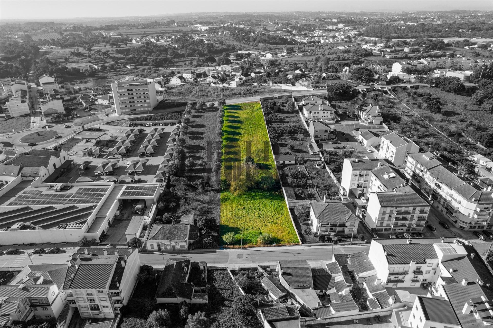 Terreno Para Construção  Venda em Cartaxo e Vale da Pinta,Cartaxo
