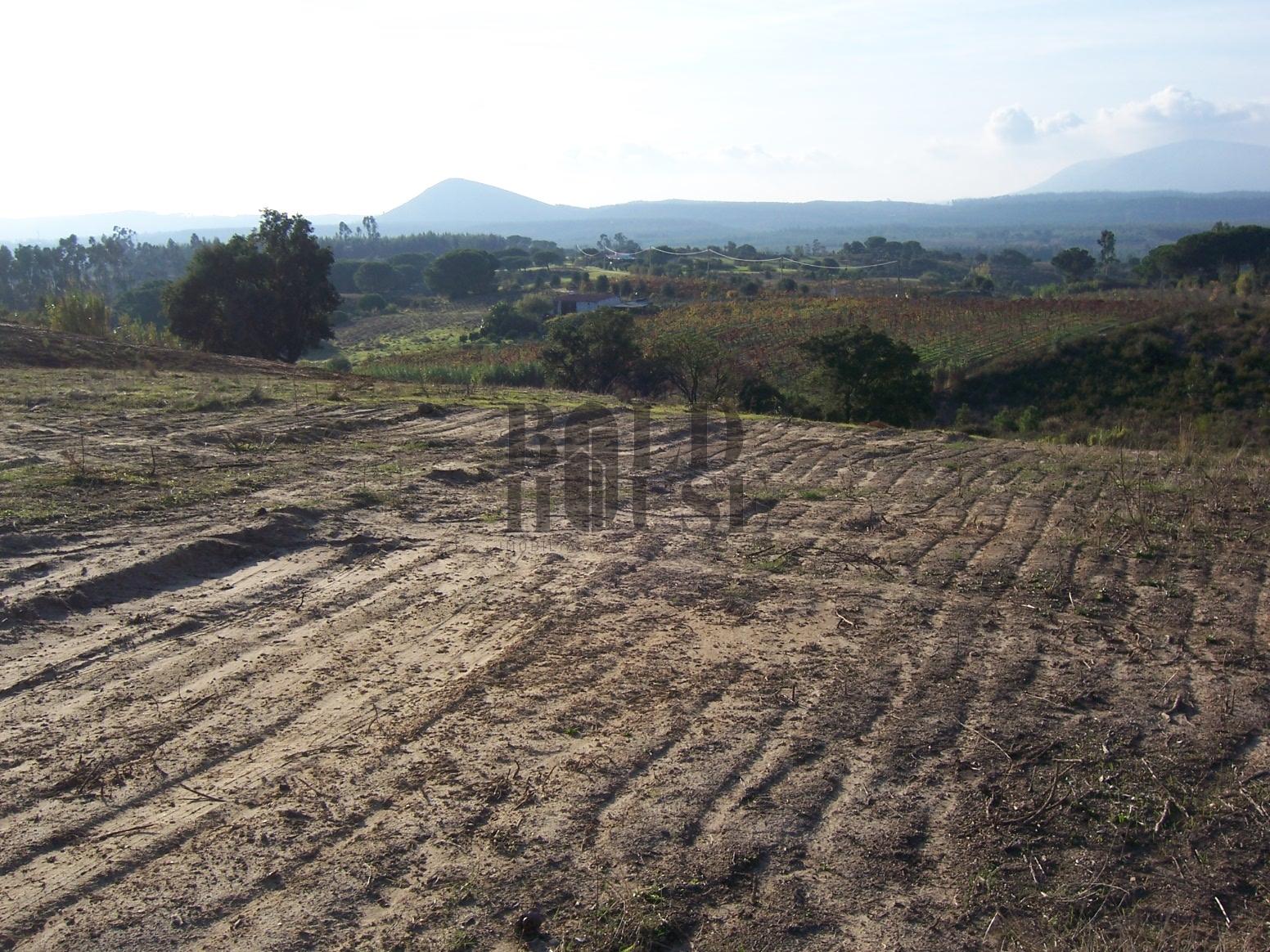 Terreno Rústico  Venda em Aveiras de Cima,Azambuja