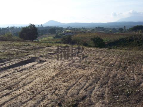 Terreno Rústico  Venda em Aveiras de Cima,Azambuja
