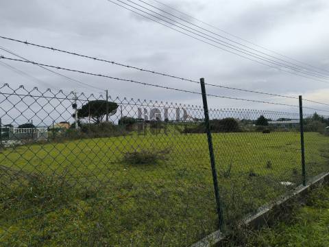 Terreno  Venda em Pontével,Cartaxo