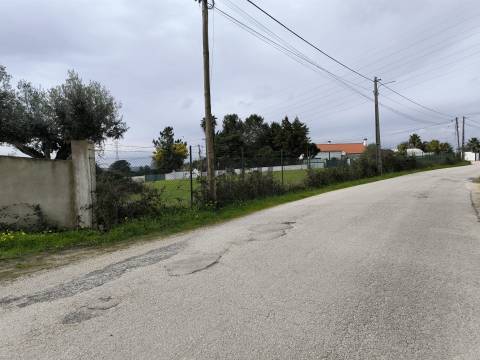 Terreno  Venda em Pontével,Cartaxo
