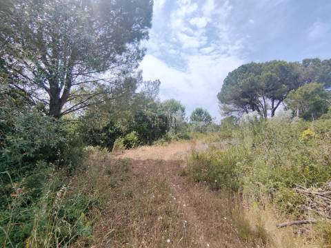 Terreno Rústico  Venda em Azambujeira e Malaqueijo,Rio Maior